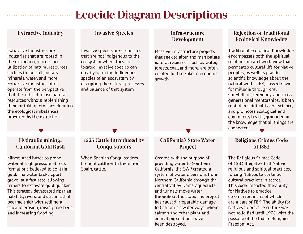 2. Ecocide Diagram Descriptions.png