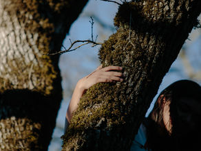 Call for responses: Being a Good Guest on Native Land, as an Indigenous person