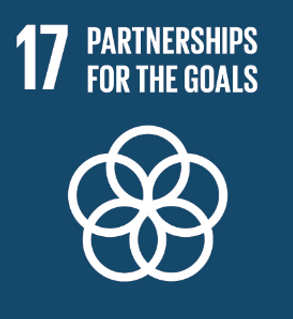 partnerships for the goals sustainable development goal