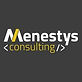menestys-consulting-logotype.jpeg