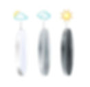 Lehman Optical - Transition Lenses