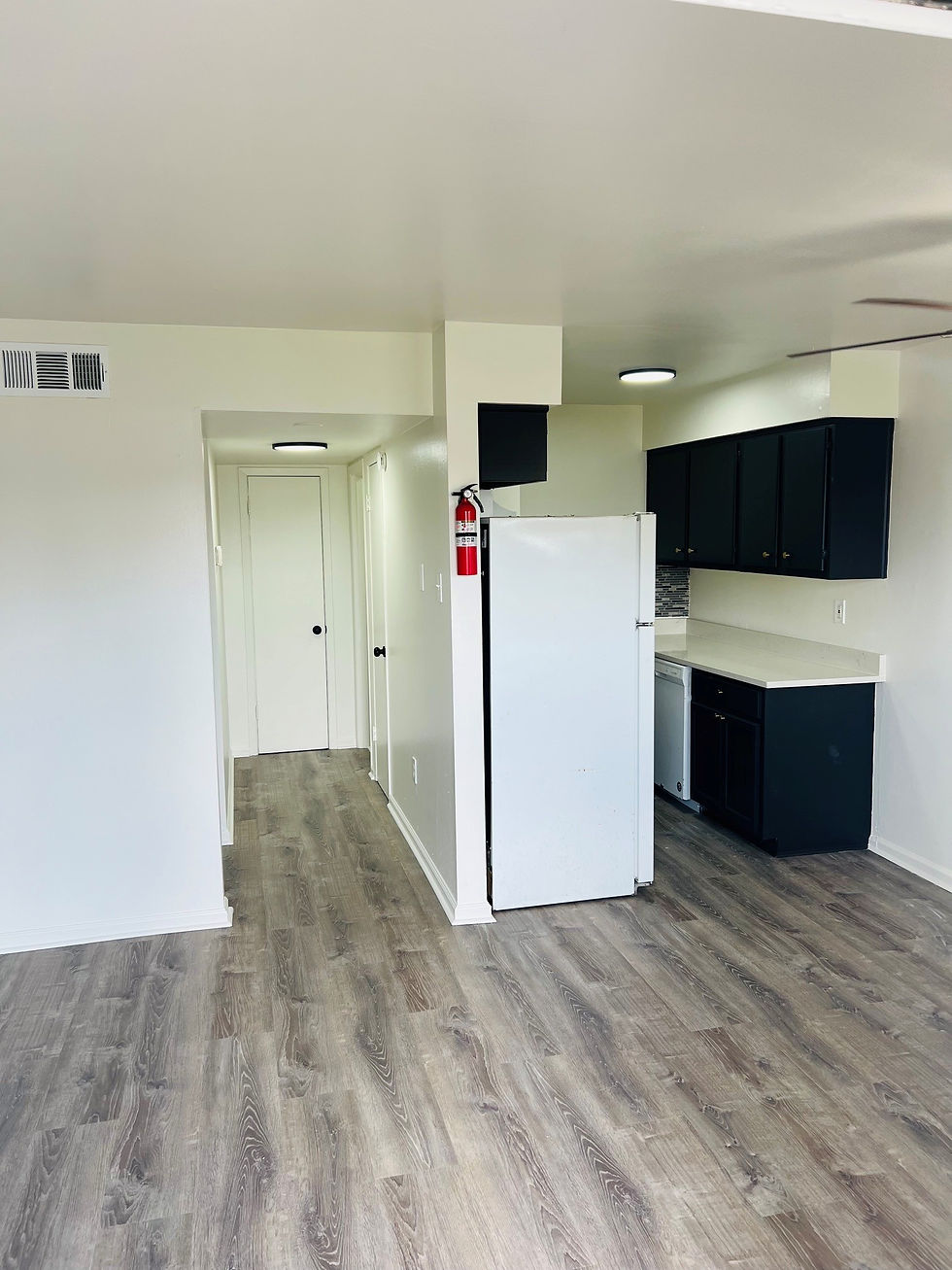 Apartment 3
