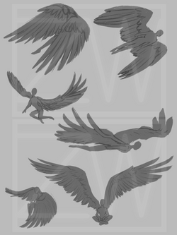 Wings Silhouette
