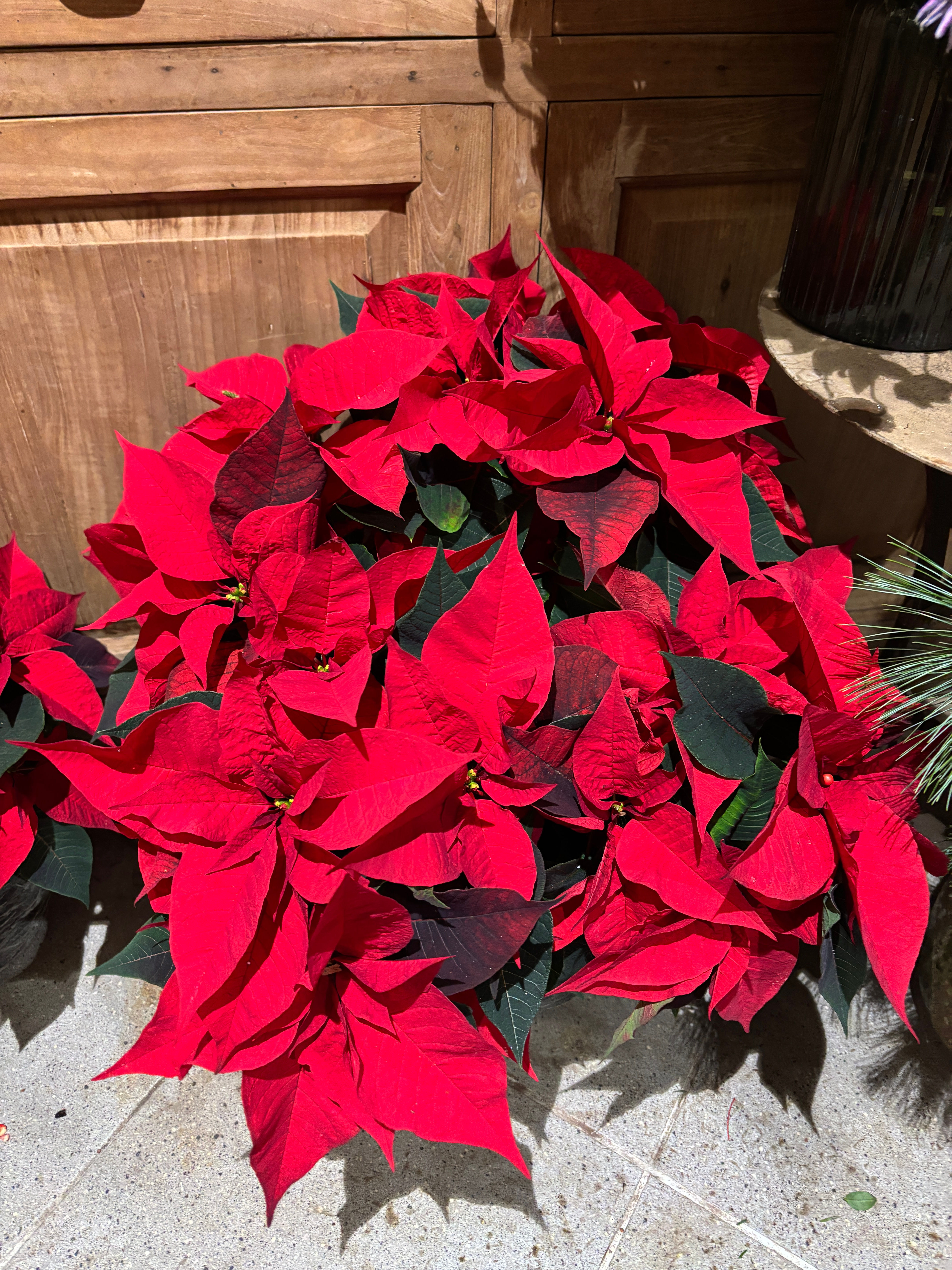 Saint-Germain-des-Prés church