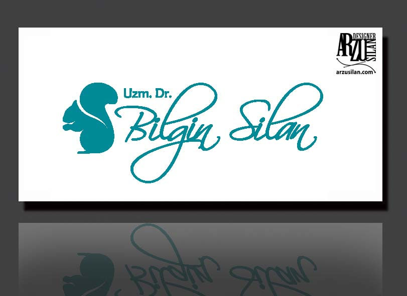 LOGO SUNUM Bilgin silan