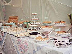 Pies1