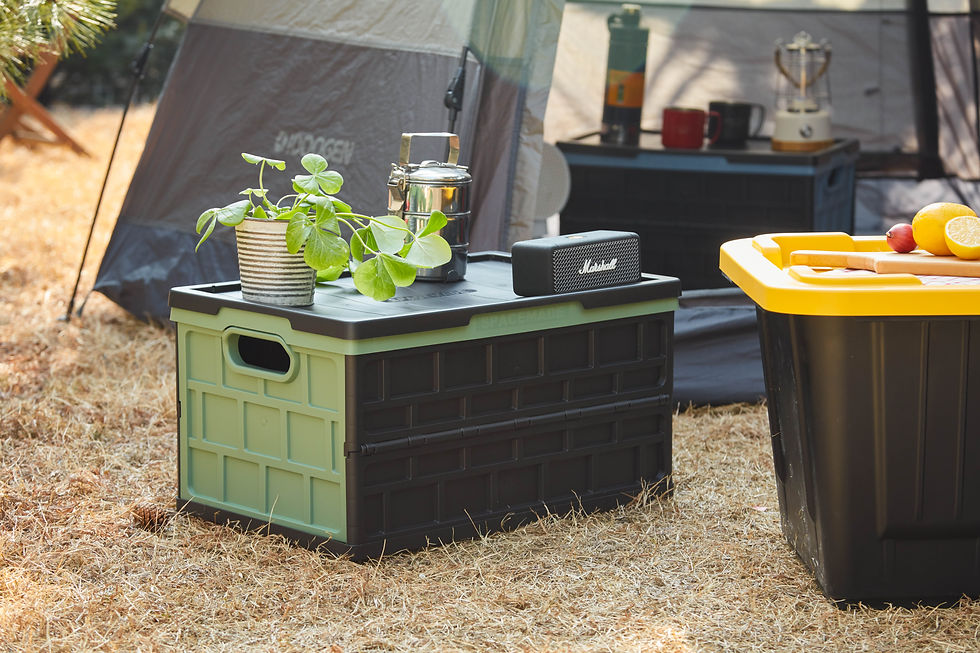 Thumbnail: SpaceMade 12 gallon (46L) Collapsible Crate Pastel Green