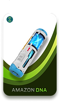 Amazon DNA (3).png