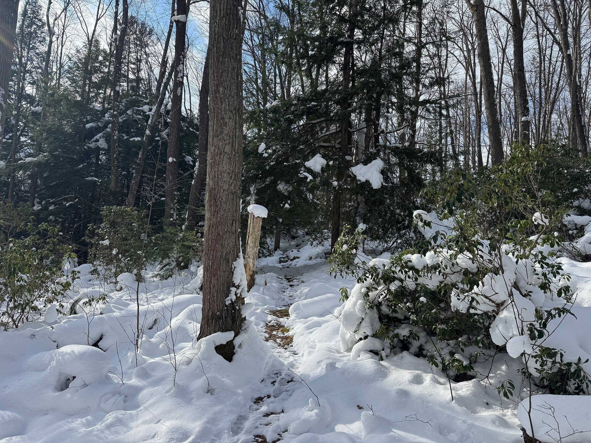 trail