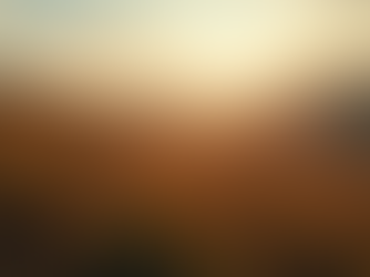 Mindset First: Building a Lifestyle That Strengthens Mental Resilience