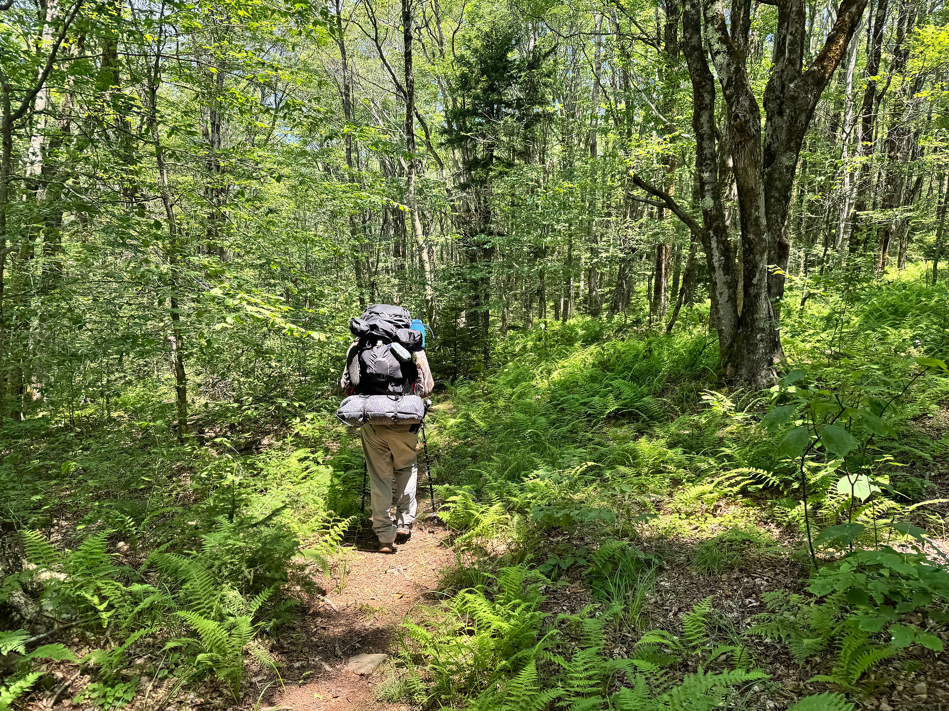 The Solo Backpacker