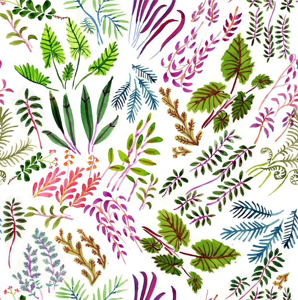Tropical Insanity