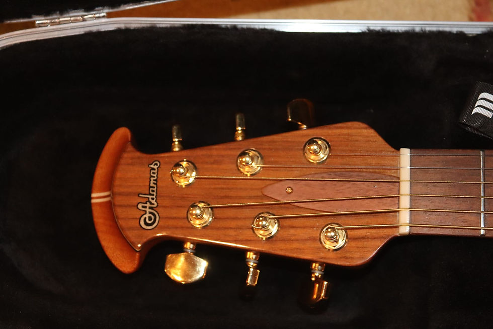 Thumbnail: 2011 Ovation Adamas 1681WT (Wood Top)