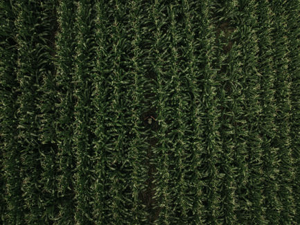 dji_fly_20220822_111252_43_1661181329131_photo