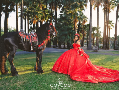 Wide shot of Ericka in a stunning red ballgown posing with her black horse under tall palm trees .