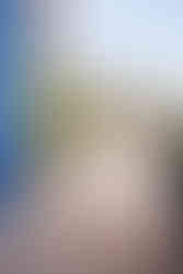 Quinceanera in a rose gold dress standing next to tall cacti in a desert setting.