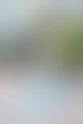 Wide castle exterior with Sabrina glancing back, ivy draped turret towering over her billowing dress and trailing train.