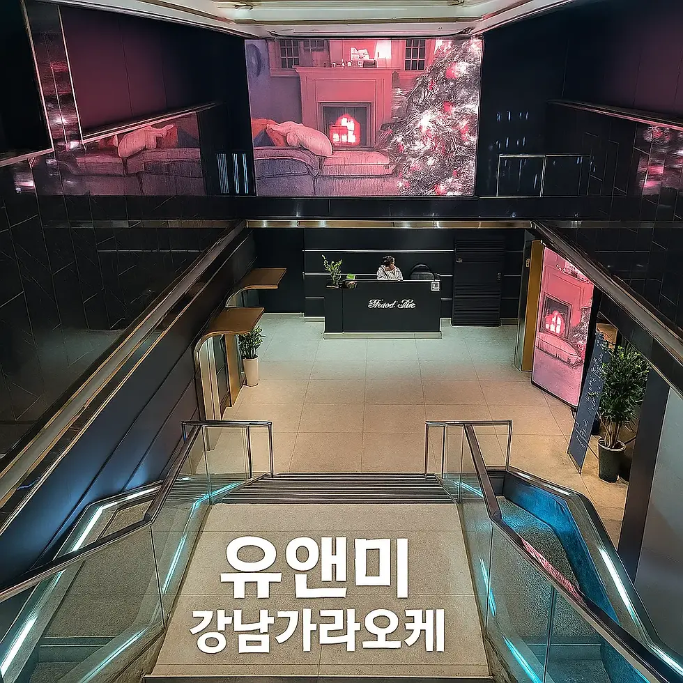 프리미엄 가라오케 강남 유앤미
