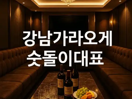 강남 가라오케 이용 팁 2025년 최신 가이드