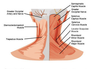 HHTV 5: Straightforward Paper Making