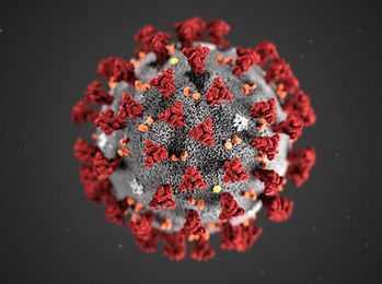 coronavirus-2.jpg