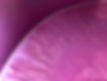 404613112_827813542680720_4503775566832095719_n.jpg