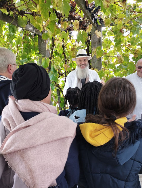 Atelier pédagogique (93) à la Vigne du Sausset 
Villepinte (93), 
animé par Patrice Bersac, Président de SYVIF