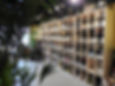 DSCN3165.JPG
