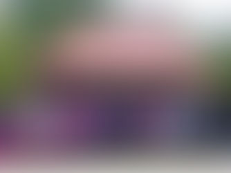 Výlet s Nesvačilkou