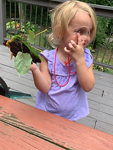 IMG_8860.jpeg