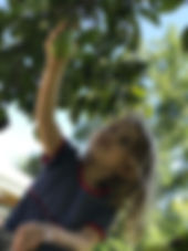 IMG_7787.jpeg