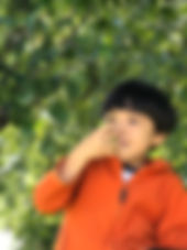 IMG_7734.jpeg