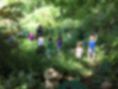 IMG_7336.jpeg
