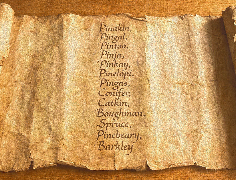 Pineling Scroll Gemini 13 characters_edited_edited_edited_edited_edited.jpg