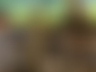 Projeto Rio Mais Leite avança com terceira rodada de manejo sanitário 