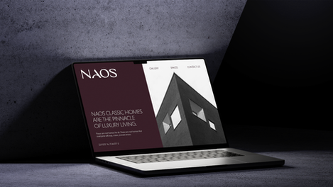 Website mockup for NAOS