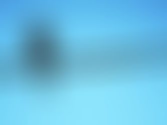 L'âme des animaux dans les traditions religieuses