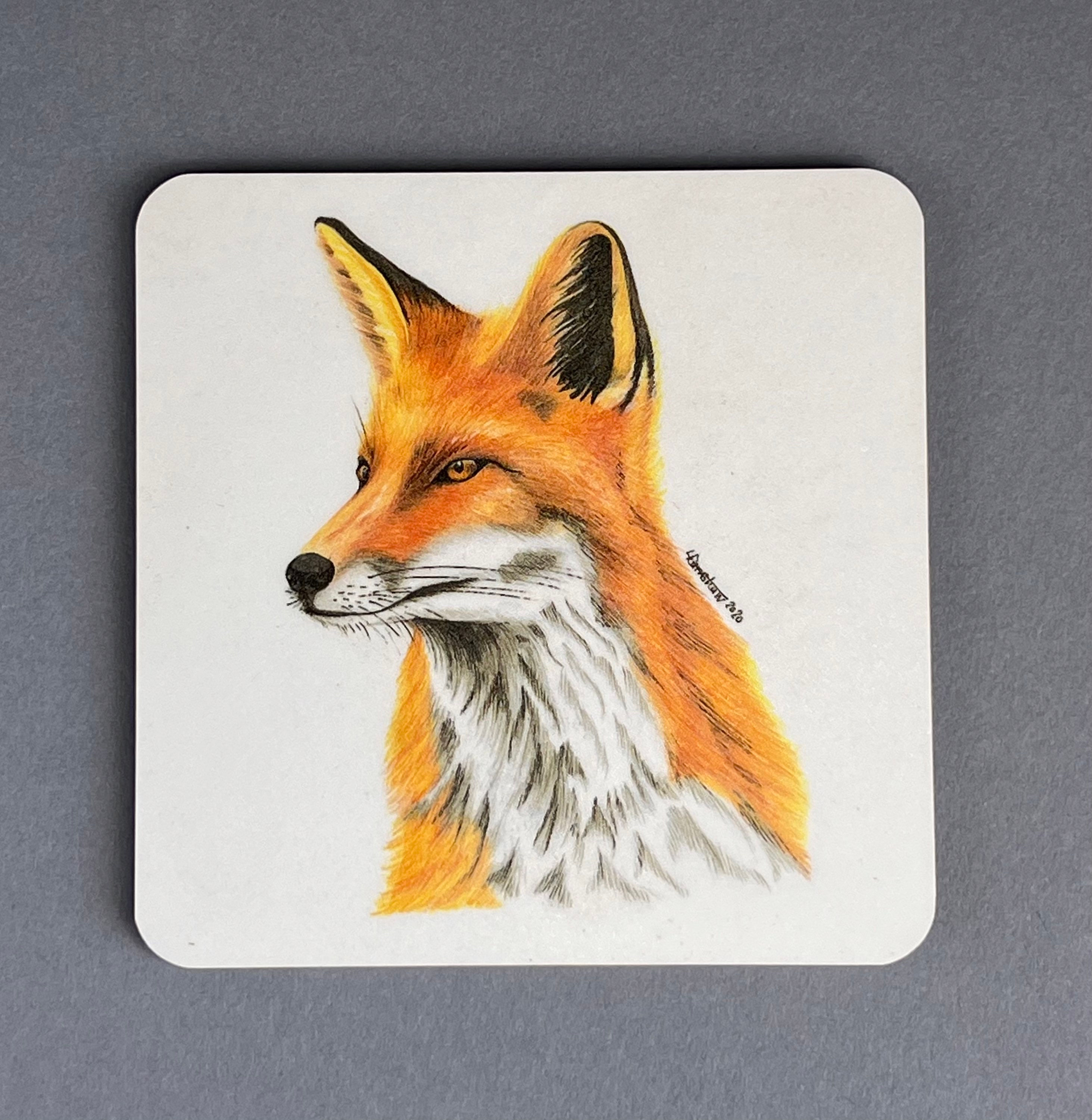 Fox - Coaster