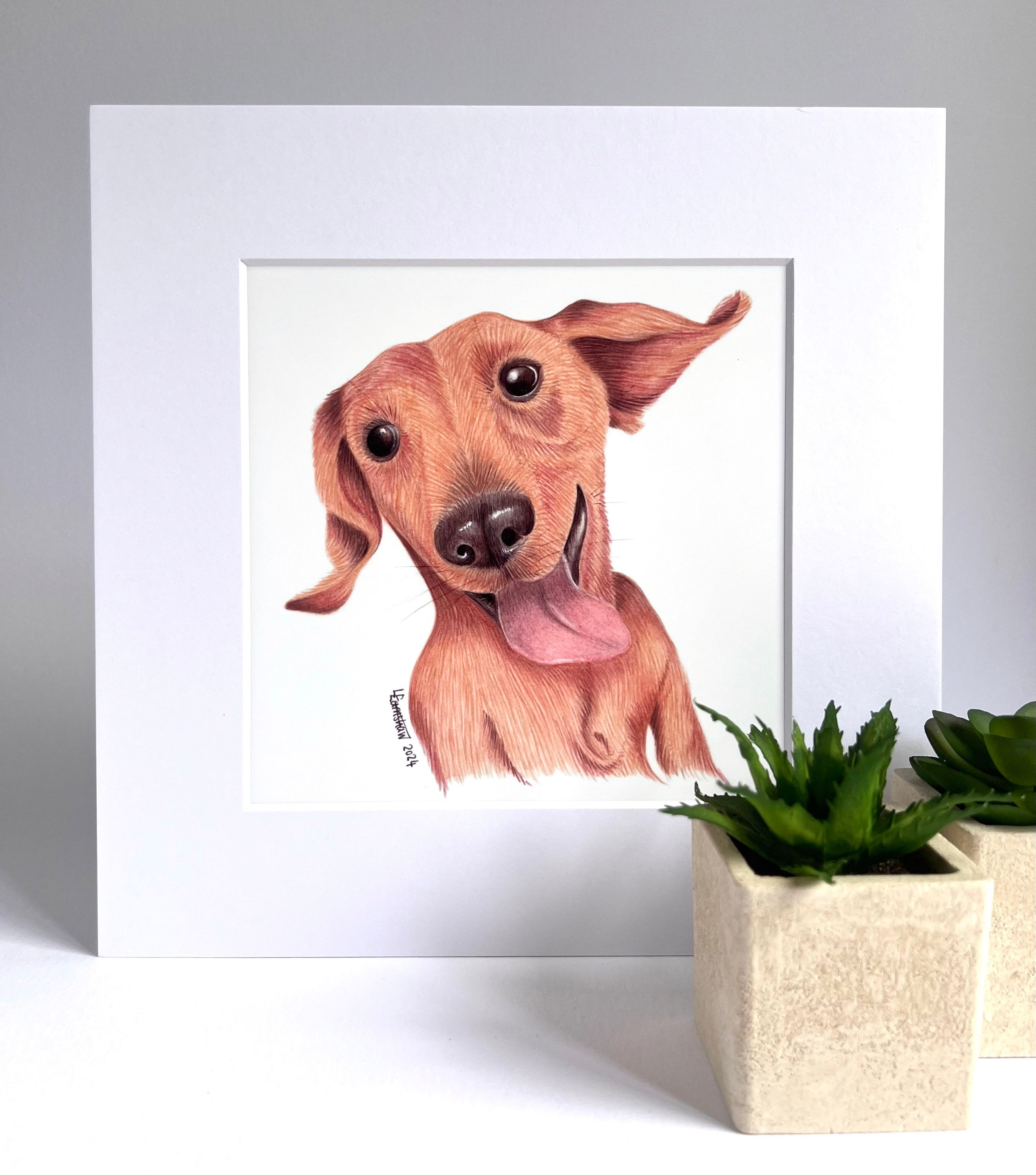 Dachshund Mounted Print