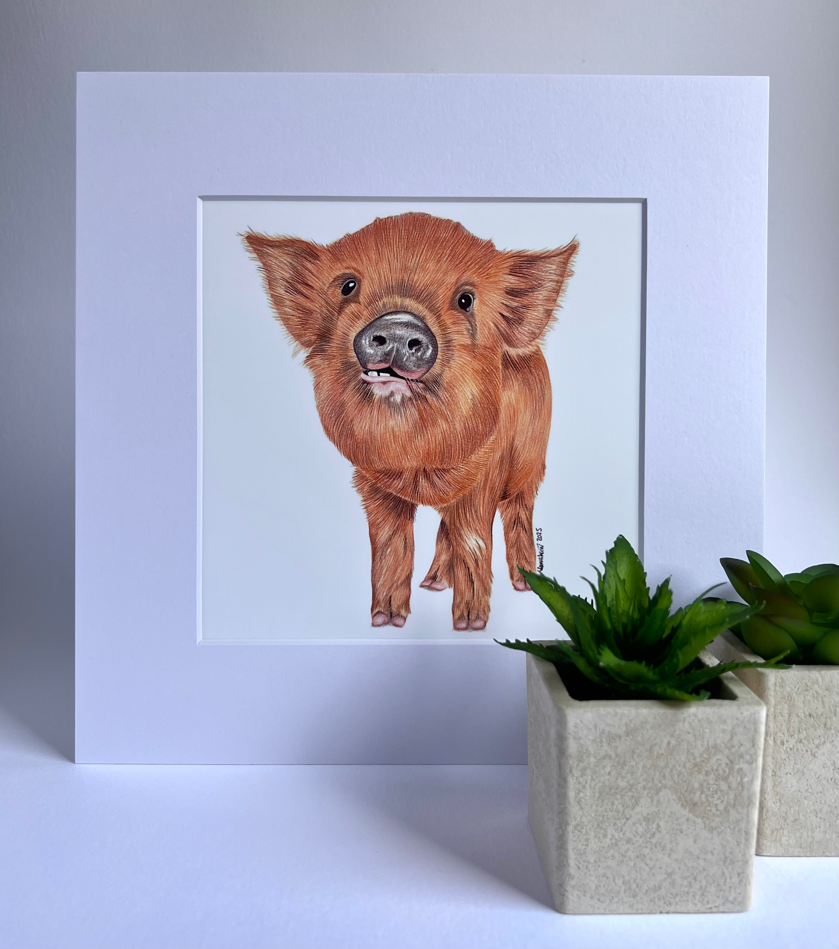 Little Pig Mounted Print