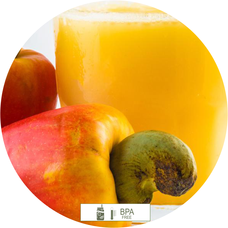 Suco Saudável de Caju com Laranja 300ml