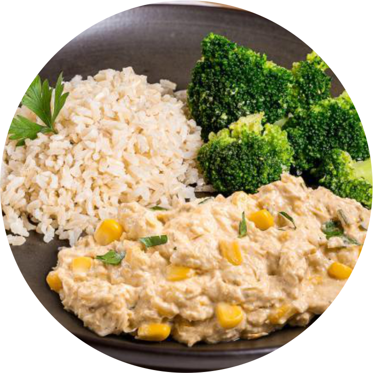 Fricasse de frango com arroz e brocolis 350g