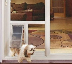 banner1.jpg
