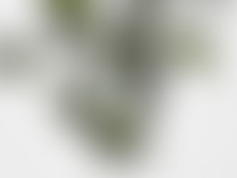 "L'existence d'une dimension supplémentaire"