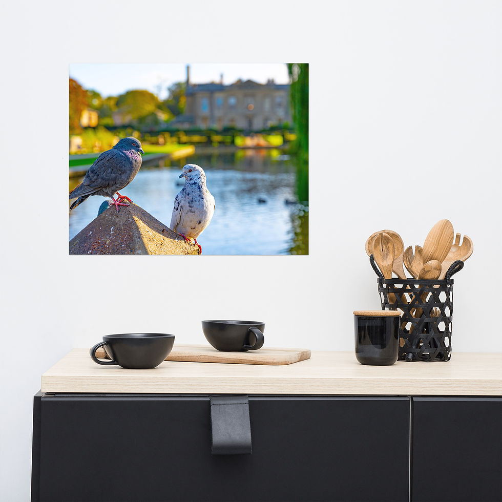 Thumbnail: Framable Poster - United Kingdom, Coventry, Coombe Abbey Park 2