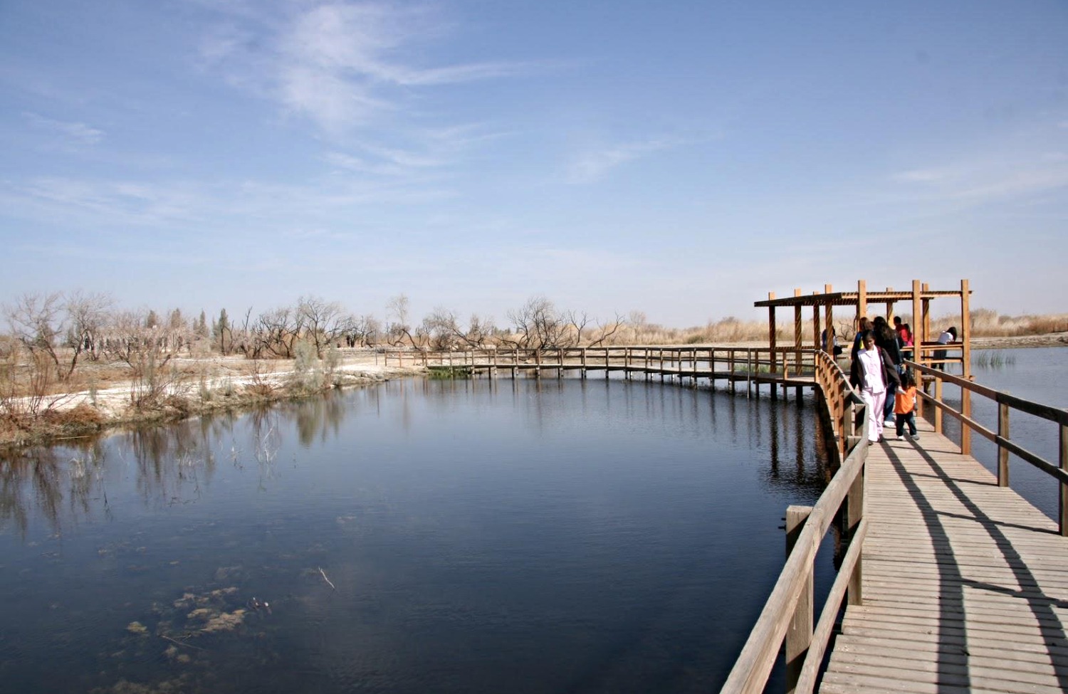 Azraq Wetland Nature Reserve