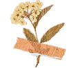 Personal_Bio_Intro_Instagram_Post__1_-removebg-preview.png