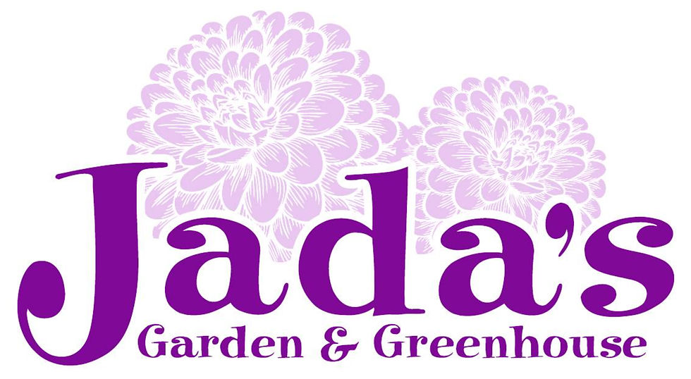 Jada's Garden Spring/Summer Market