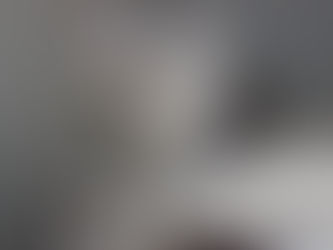 Augie | Male | Siberian | Adopted