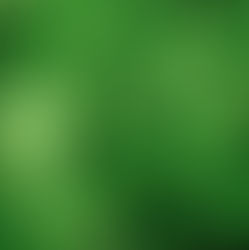 St. Patrick's Day